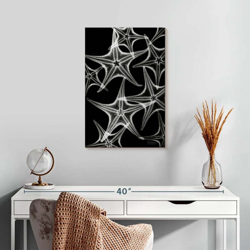 Brampt White Starfish, 24" H x 16" W