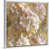White Framed Canvas