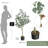 Eucalyptus Tree Artificial With Silver Dollar Leaves