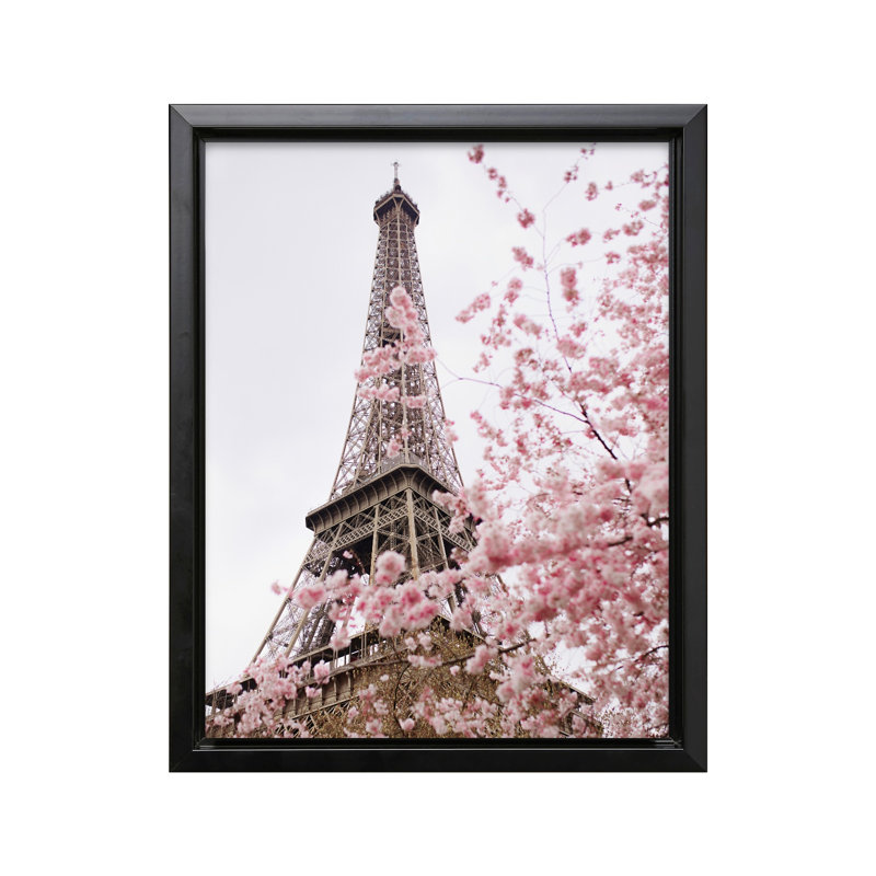 Paris en fleurs, Black Framed, Canvas, 16"H x 20"W