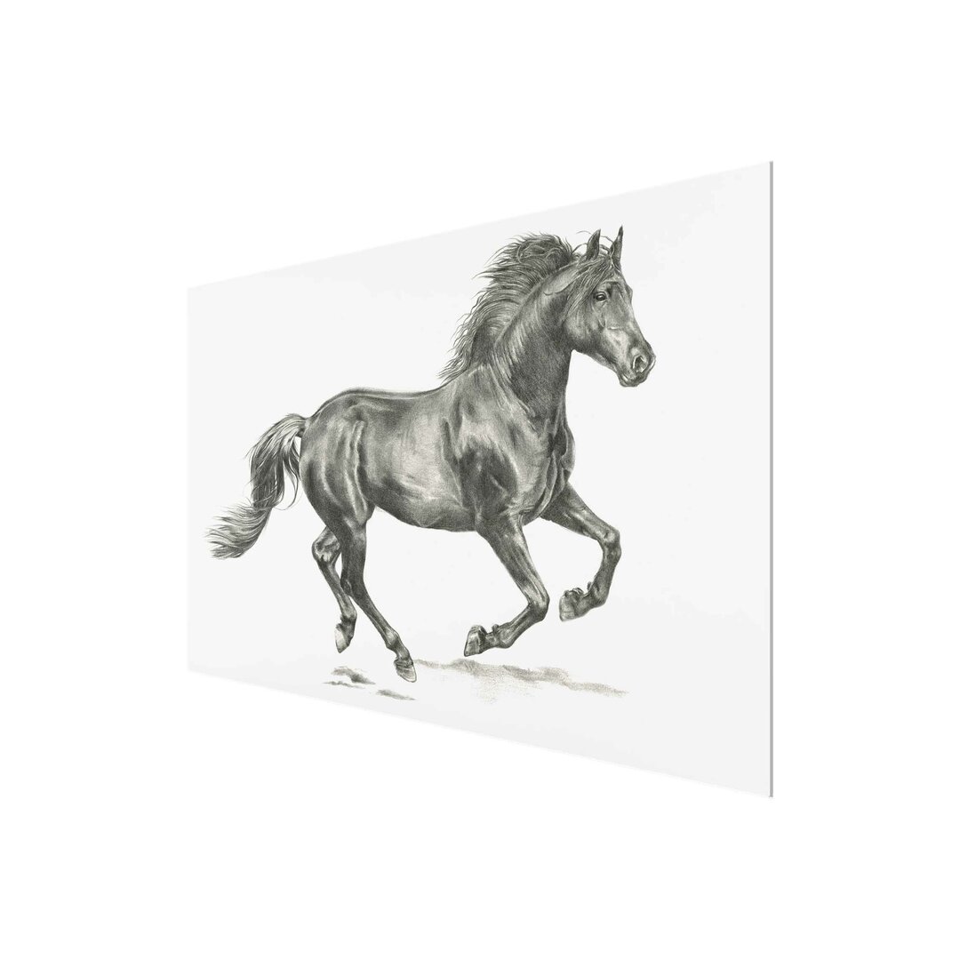 Glasbild Wild Horse Study Hengst