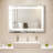 Rectangle LED Mirror-101049064