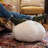 The Holiday Aisle® Pumpkin Pouf - Luxurious Ottoman For Fall & Halloween Décor-1554571558-1554571559