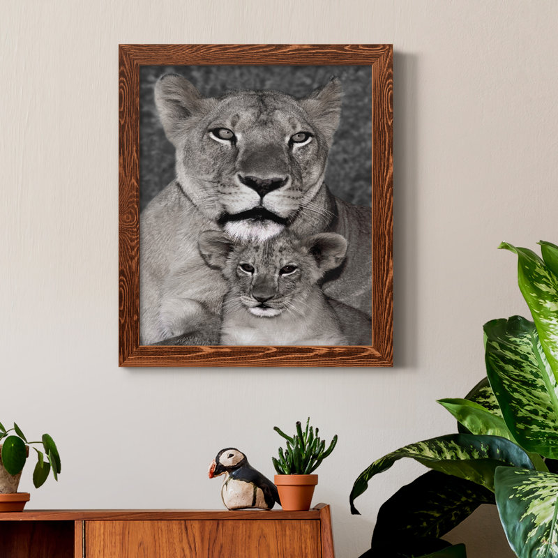 Lionne et louveteau - Photographie sur toile, H 24 po x l 18 po x P 1,5 po, Cadre en érable
