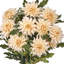Ensemble de 19 po UV Autumn Mum-128538660