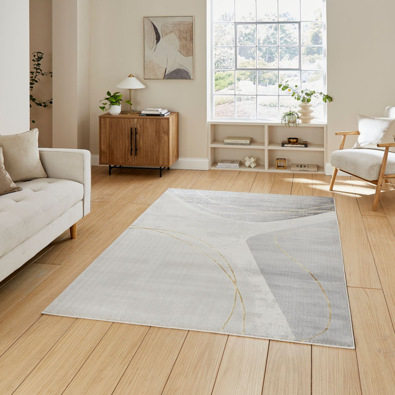 Apollo area rug Machine Woven Rectangle, Rectangle 120 x 170cm