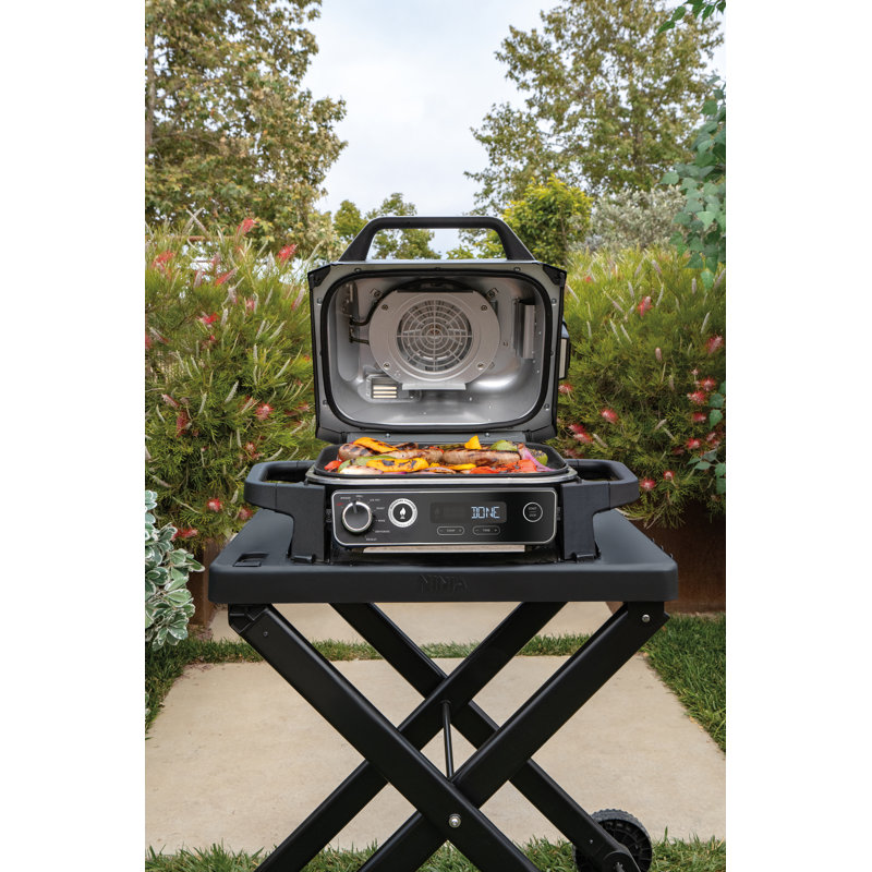 Ninja Woodfire Electric BBQ Grill Stand XSKGRLLSTDEUK