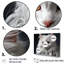 Selystk Rex Cat Sophistication - Chat, art mural, salon-95892732-95892738