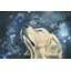 «Head in the Clouds» par Eyre Tarney, reproduction d'art sur toile tendue-22057349