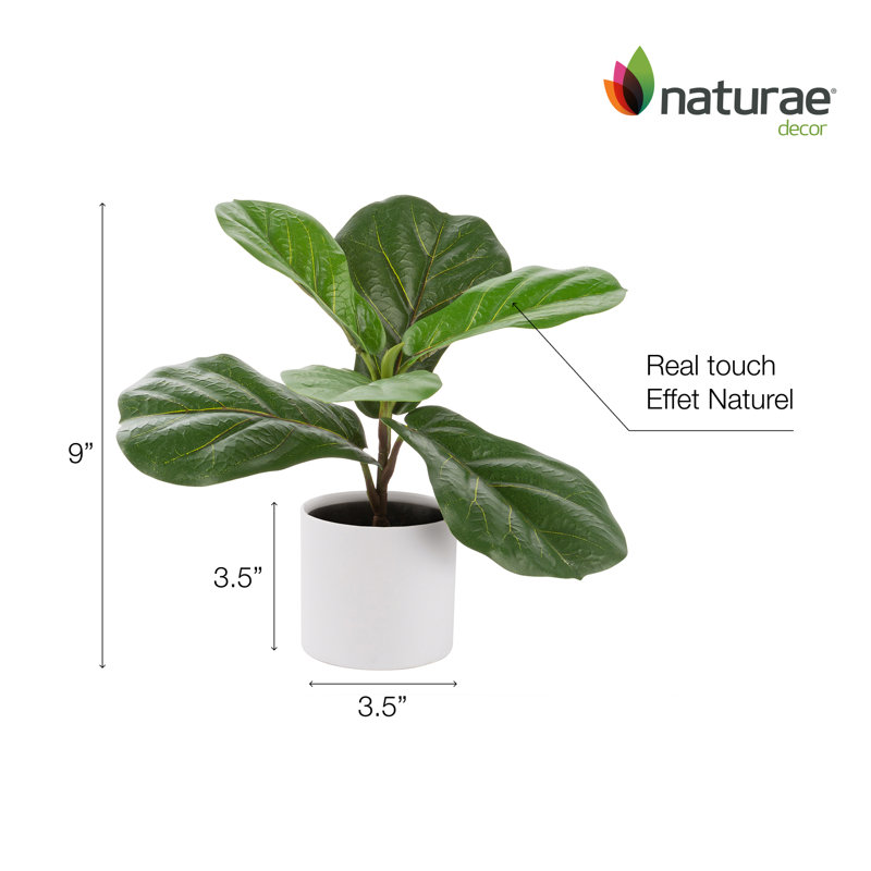 Artificial Ficus 12-in