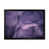Black Picture Framed