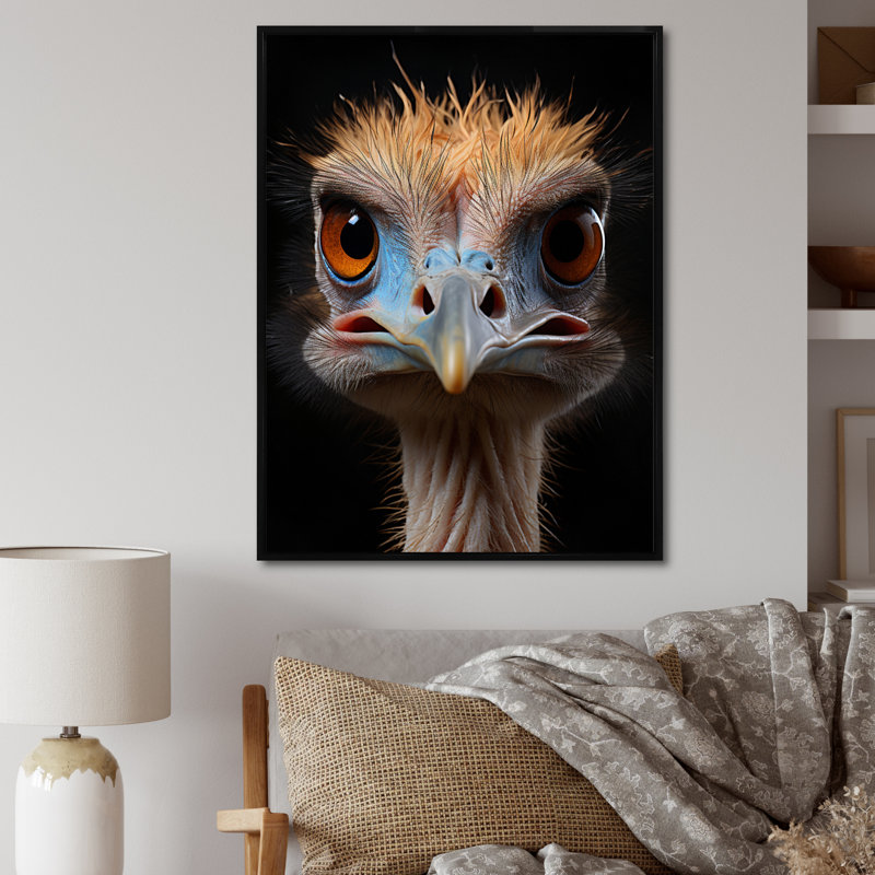 Autruche africaine - autruches, art mural, Cadre flottant noir, H 20 po x l 12 po x P 1 po