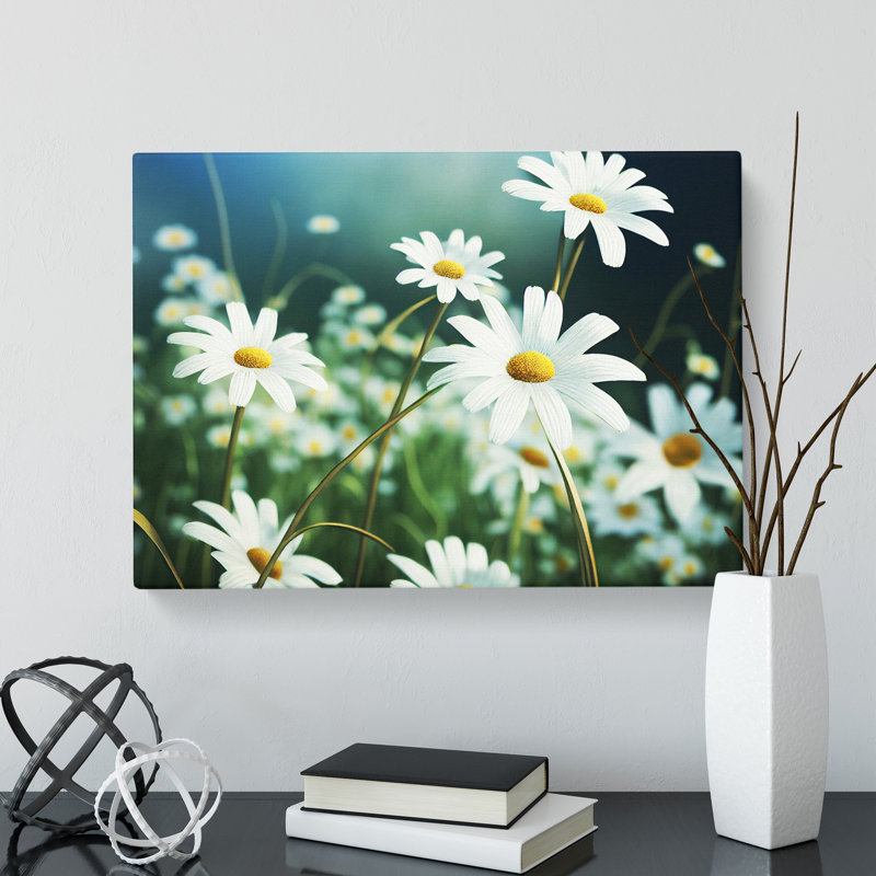 Splendorous Daisy Flowers - Wrapped Canvas, 40cm H x 60cm W x 3cm D