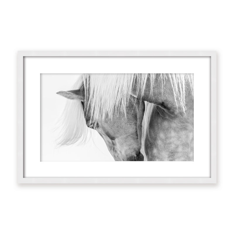Nature Inspired Halflinger Portrait by  - Picture Frame Photograph on Paper, 32" H x 48" W x 1.125" D, Framed Matted Print