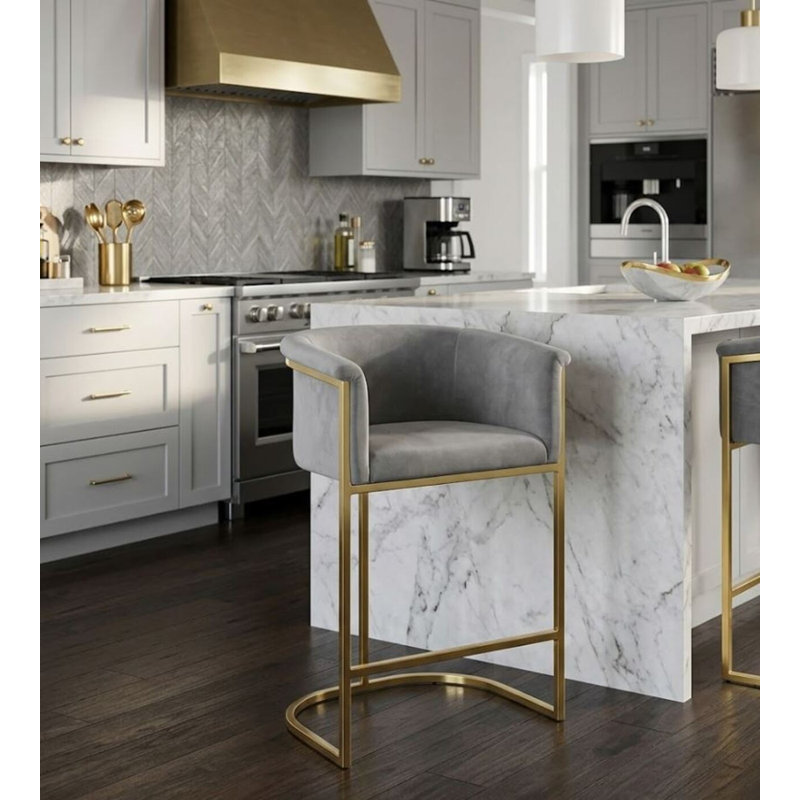 Set of 2 Andarta 27-Inch Velvet Upholstered Counter Stools with Gold Metal Frame and Shelter Arms, Gray
