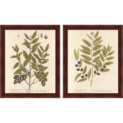 Olive Branch par Wild Apple Portfolio, art encadré (ensemble de 2)