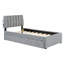 Teddy Fleece Twin Size Upholstered Platform Bed With Trundle