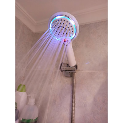 Chevelle Handheld Shower Head