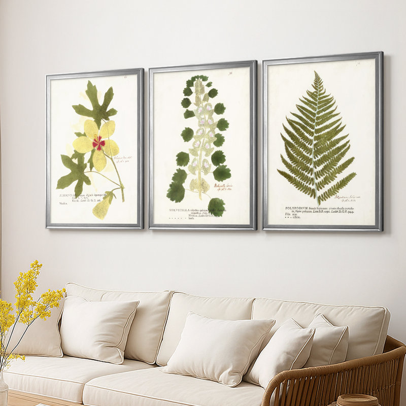 Nature Printed Botanicals douzième - Toile tendue avec châssis sur mesure - 3 pièces, H 30 po x l 63 po, Argent argent