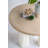 Cullison Lightweight Concrete Decorative Dining Table