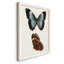 " Antique Blue Butterflies IV "-88378672-88378673