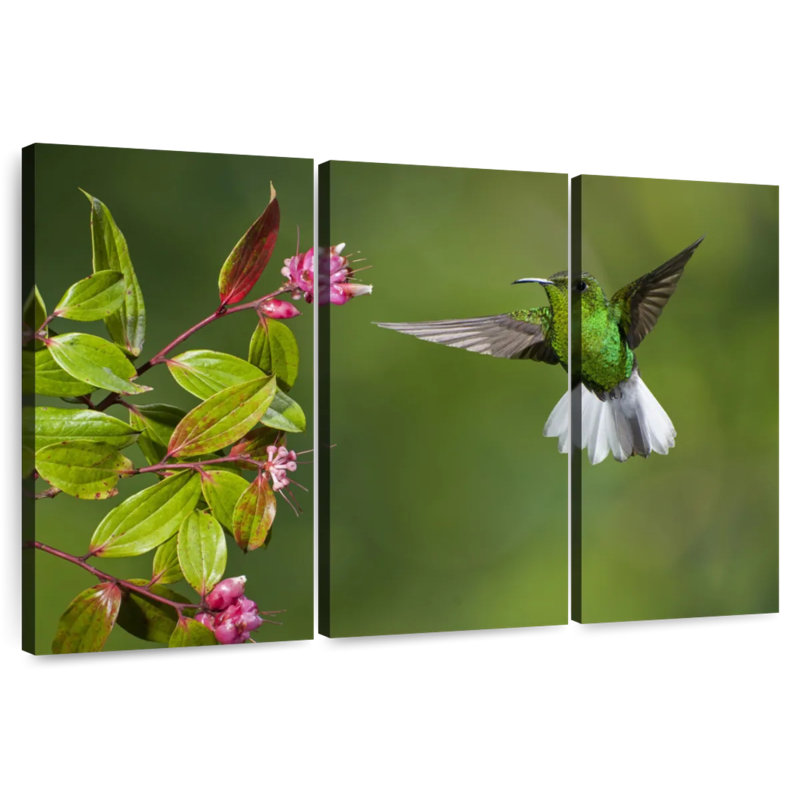 Brampt Costa Rican Hummingbird, 48" H x 74" W