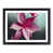 Black Framed selected