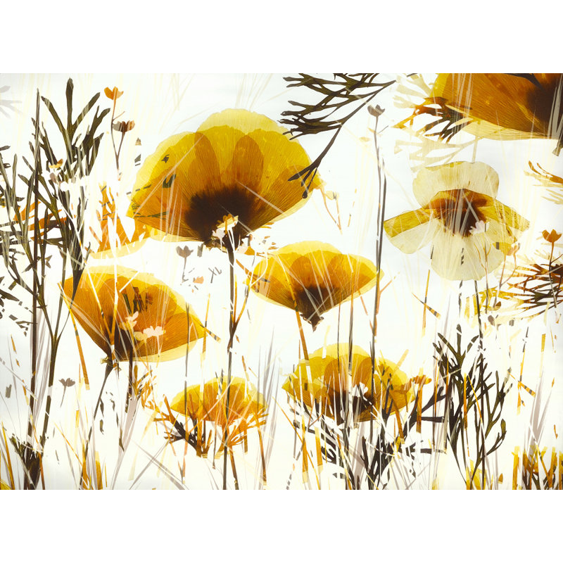Wrapped Canvas Print, 81.28 cm H x 121.92 cm W