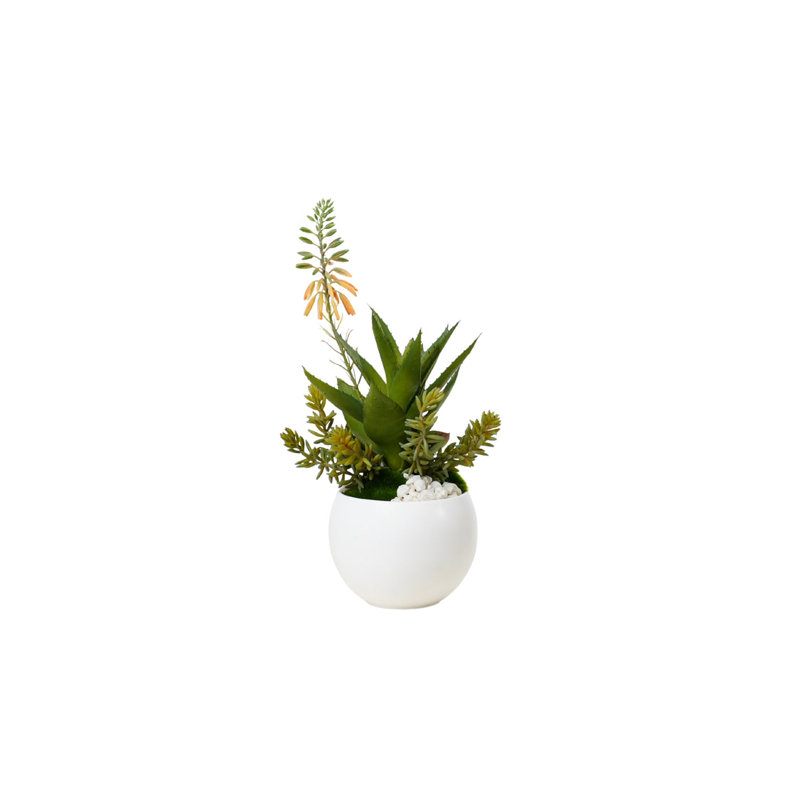 Agave Succulent Arrangement in White Ceramic Sphere