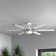 Penton Ceiling Fan with LED Lights