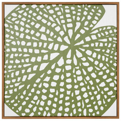 Lily Pad