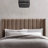 Upholstered Headboard-288469922-288469929