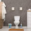 Ensemble de brosses de toilette 13,8 po Island