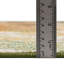 Tapis Wrought Studio ™ Ansela-255187414