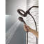 Pomme de douche / douchette 2 en 1 In2ition, pomme de douche amovible à 4 jets 1,75 gallon par minute-5822652