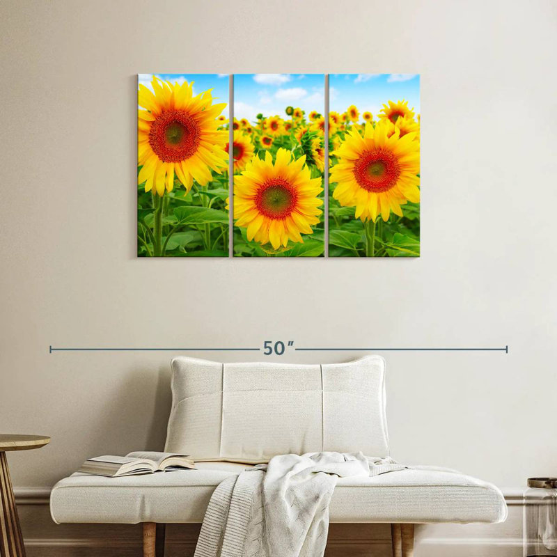 Champ de tournesols Alvord, H 24 po x l 38 po