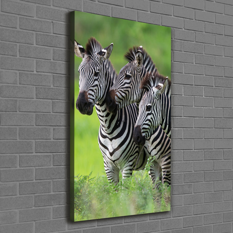 Three Zebras - Wrapped Canvas Print