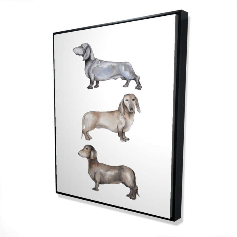 Small Dachshund Dog Print On Canvas