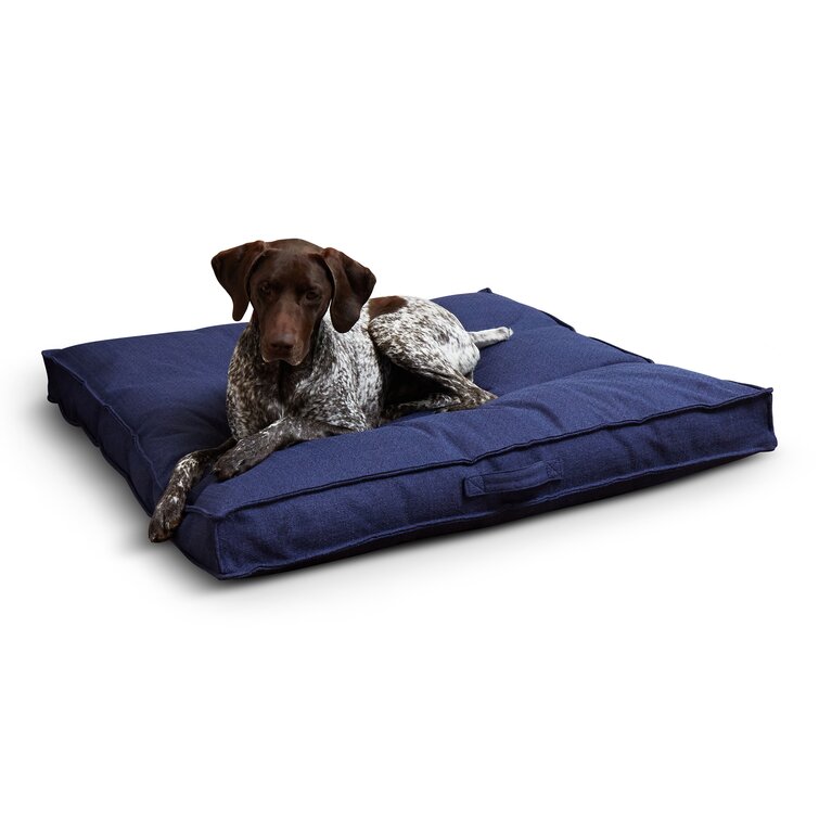 Organic Dog Bed by Avocado - Large/ X-Large - Mailman Blue