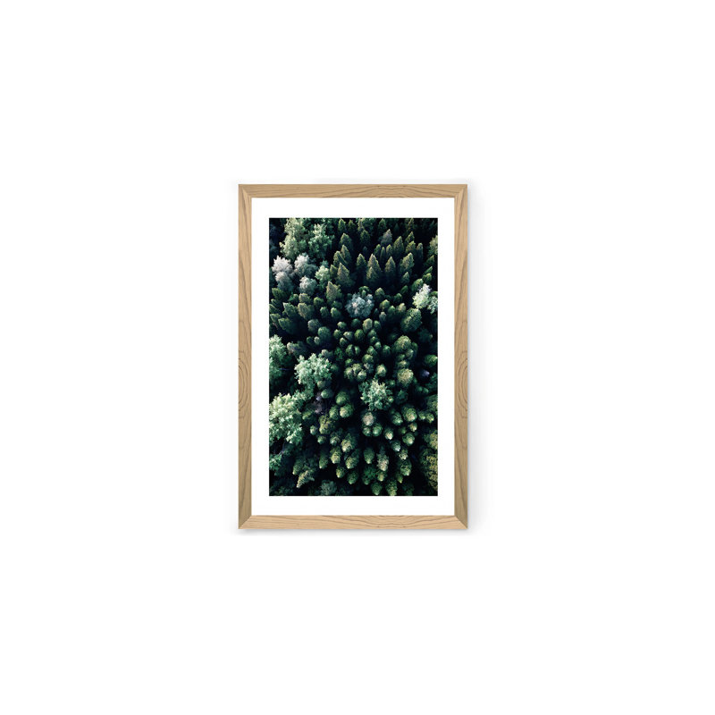 Peinture décorative