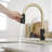 VIBRANTBATH Pull Out Kitchen Faucet-105373736