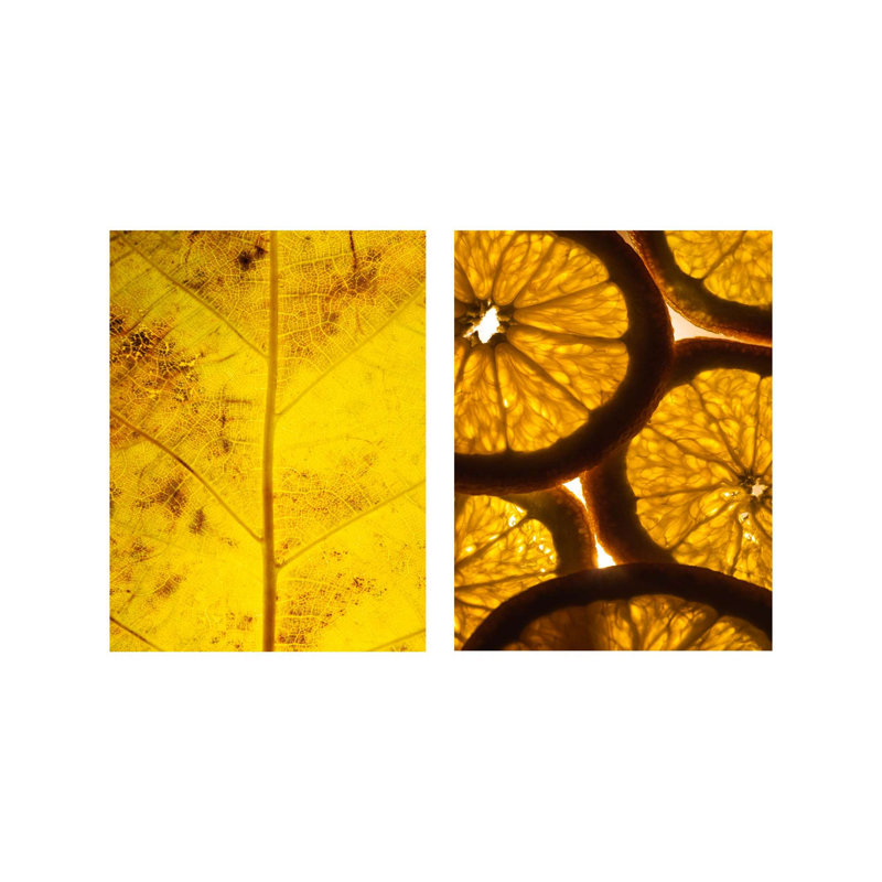 Ensemble de 2 peintures décoratives encadrées, 19,7 x 27,6 pouces chacune | Panneau de fibres à densité moyenne durable à 100% avec impression numérique | Parfait pour le salon, la chambre à coucher ou le bureau | Art mural élégant pour rehausser n'importe quel espace