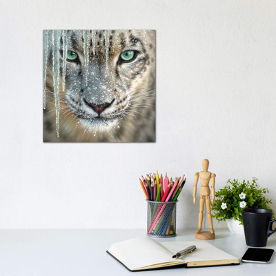 Snow Leopard - Blue Ice by Collin Bogle - Wrapped Canvas Print