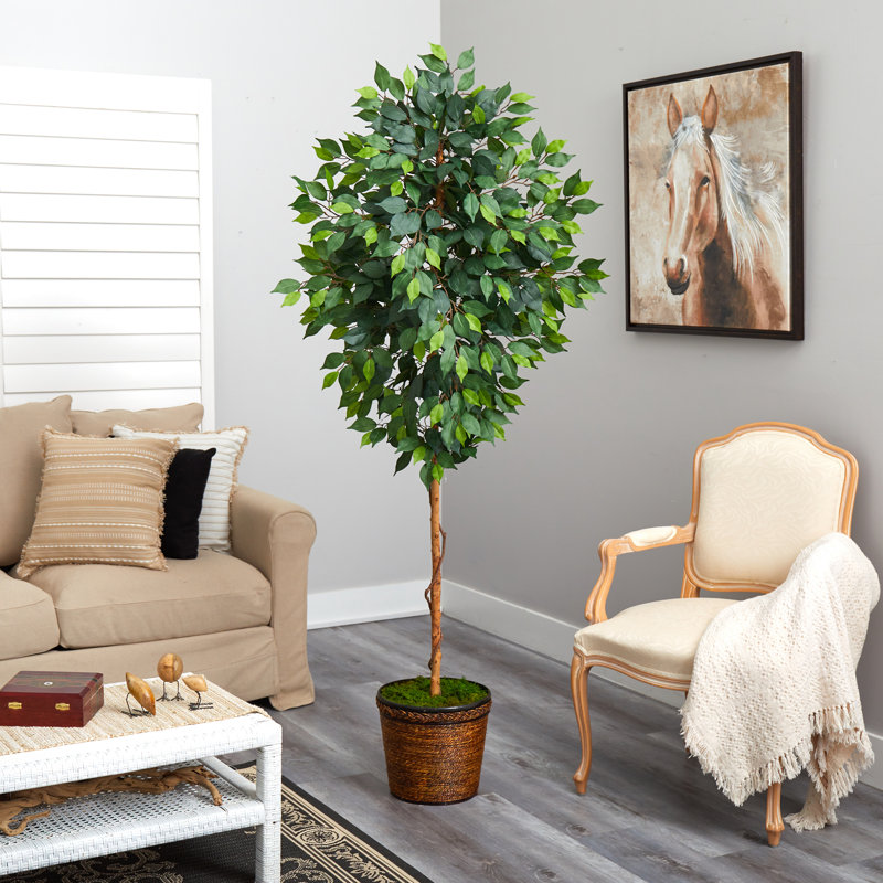 Ficus artificiel 78 po en pot