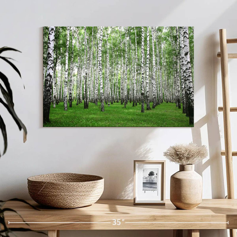 Alvord Birch Grove, H 16 po x l 24 po