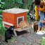 Maison pour chat Eyuel-1694802996