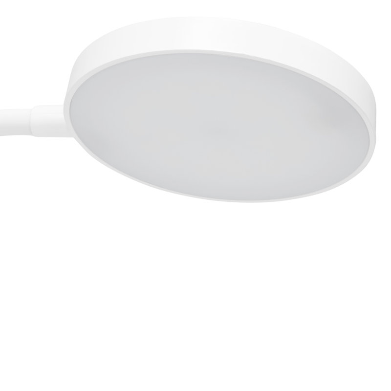 Adjustable White LED Clip-On Lamp with Flexible Neck