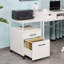 18'' 2 Drawer Lockable Mobile File Cabinet (Fits Letter/A4)-1184771510