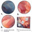 «Peach Blue Rose Reverie I», reproduction d'art sur toile encadrée florale-737391477-737391479