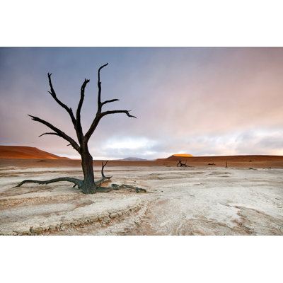 Cray Deadvlei Mist - Wrapped Canvas Print